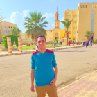 صورة ibrahim salah