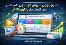 شرح جوجل سيرش كونسول للمبتدئين: من الصفر حتى ظهور النتائج