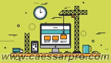 الربح من بيع المنتجات الرقمية