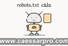 طريقة إنشاء ملف robots.txt مخصص لمدونة بلوجر (دليل شامل لتسريع الأرشفة)