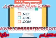 طريقة اختيار اسم موقع إلكتروني ناجح 2026