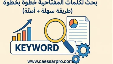 بحث الكلمات المفتاحية خطوة بخطوة مع أمثلة