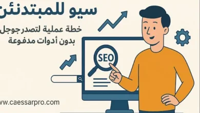 سيو للمبتدئين: خطة عملية لتصدر جوجل مجانًا